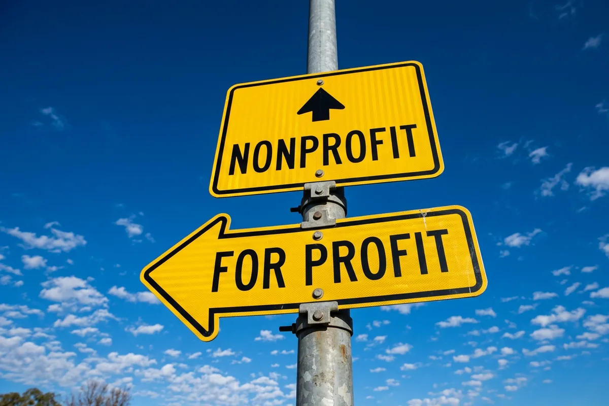 Andrew Hillman Dallas: nonprofit and for-profit signs illustration for the giving section